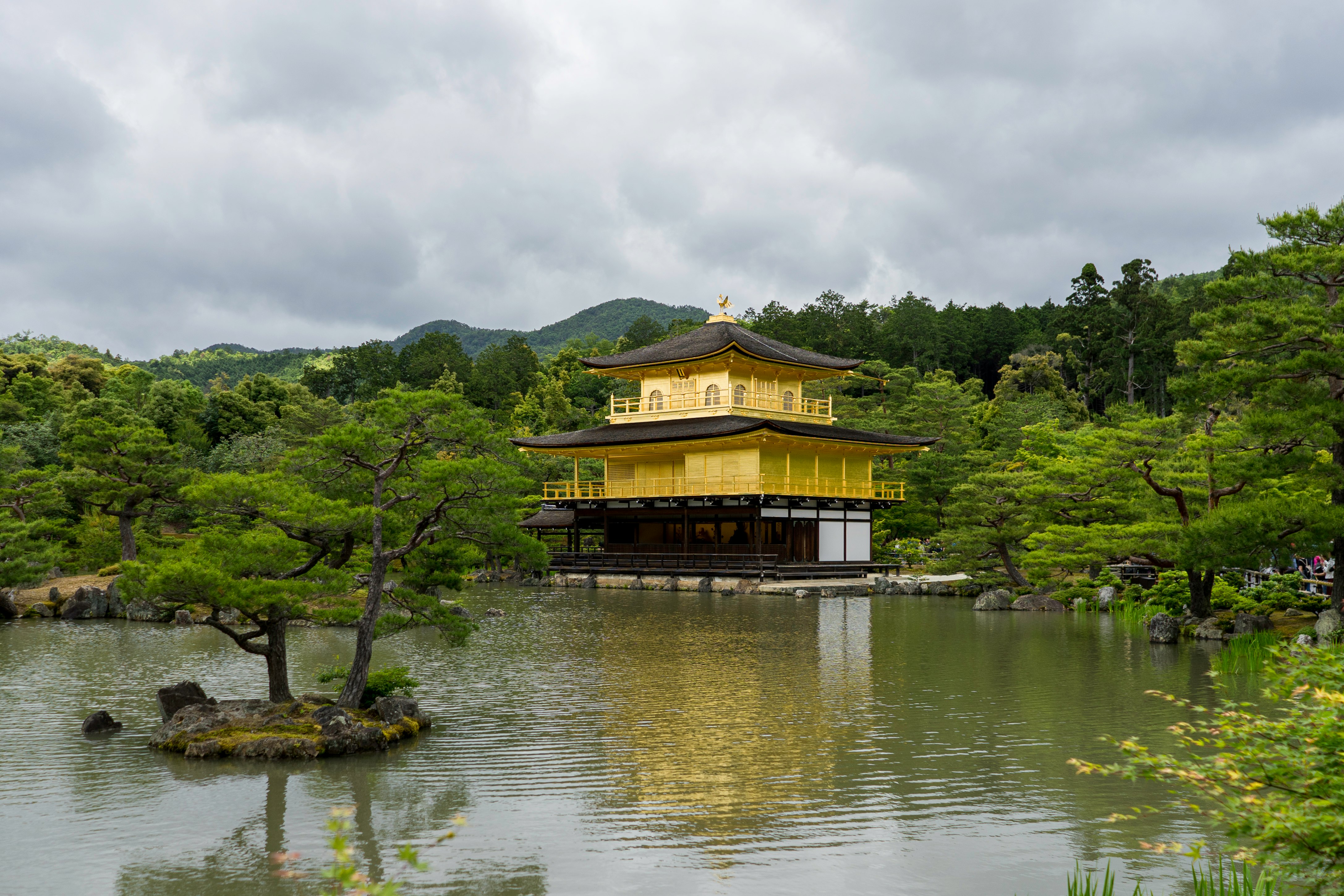 brown and green wooden house on body of water during daytime